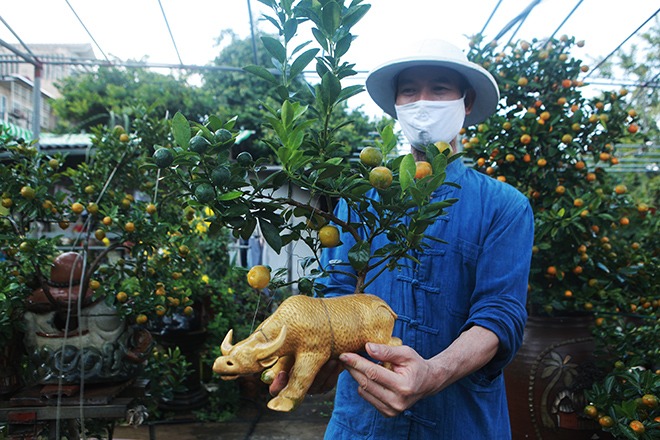 Theo anh Mạnh, các mẫu “trâu vàng cõng” quất đã được khách hàng mua và đặt gần hết từ đầu tháng 10 âm. Hiện tại chỉ còn một vài mẫu nhưng cũng không đủ đáp ứng nhu cầu của khách hàng. Giá cho mẫu cây độc đáo này dao động từ 1 – 4 triệu đồng.