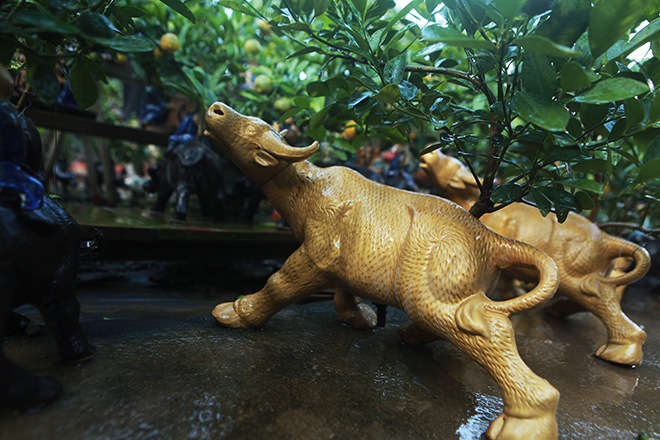 “Con trâu là đầu cơ nghiệp”, chúng vốn to khỏe, chăm chỉ nên biểu tượng chú trâu cõng quất bonsai trĩu quả tượng trưng cho mong muốn có sức khỏe dồi dào, tinh thần để “cày cuốc”, mang lại nhiều tài lộc, thịnh vượng trong năm mới, chủ vườn cho hay.