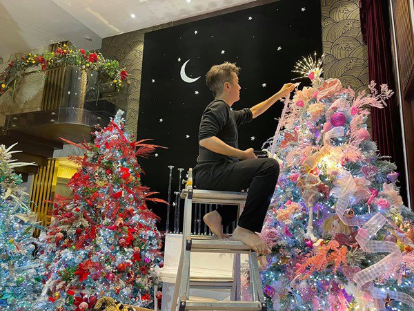 Đàm Vĩnh Hưng mở cửa khoe biệt thự 60 tỷ đón Noel, hứa hẹn đẹp hơn trung tâm thương mại - 2