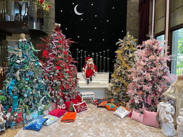 Đàm Vĩnh Hưng mở cửa khoe biệt thự 60 tỷ đón Noel, hứa hẹn đẹp hơn trung tâm thương mại - 4
