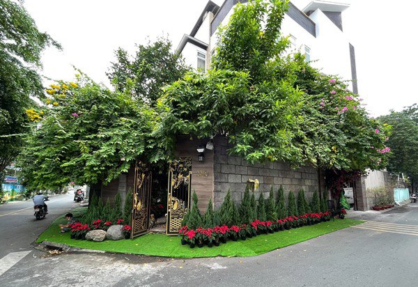 Đàm Vĩnh Hưng mở cửa khoe biệt thự 60 tỷ đón Noel, hứa hẹn đẹp hơn trung tâm thương mại - 5