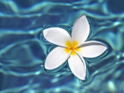 Eva tám - Miệng là cửa của họa phúc, mối quan hệ dù tốt đẹp đến đâu cũng chớ nói 5 điều