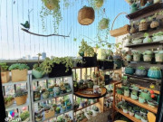 Nhà đẹp - Biến ban công 6m² thành không gian cực chill, mẹ Hà Nội “nghiện” nhà, đi đâu cũng chỉ muốn về