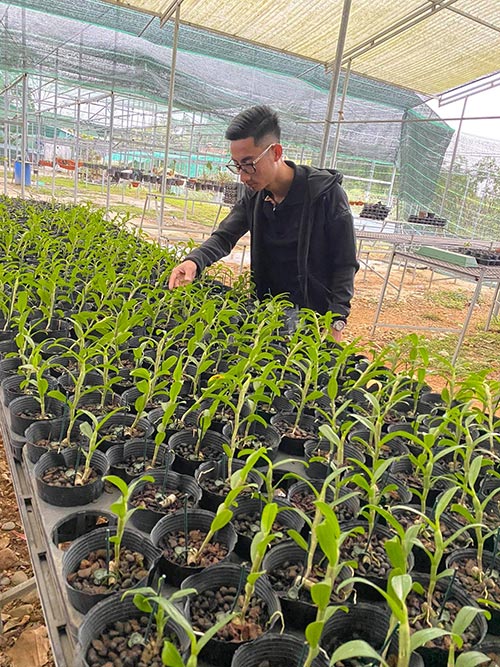 Louis Đức Trung: Niềm đam mê hoa lan của chàng trai 9x - 1