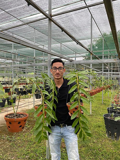 Louis Đức Trung: Niềm đam mê hoa lan của chàng trai 9x - 2