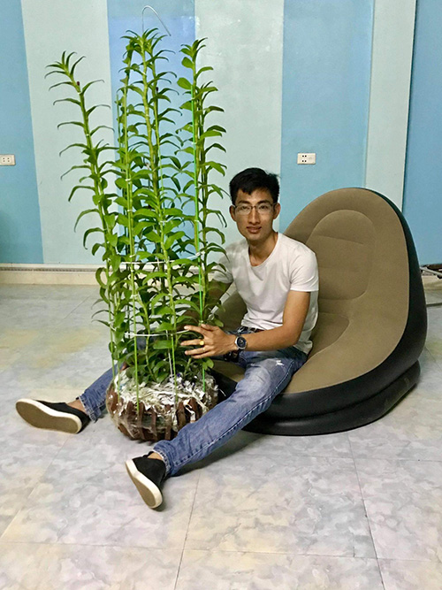 Louis Đức Trung: Niềm đam mê hoa lan của chàng trai 9x - 4
