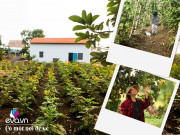 Nhà đẹp - 8X Sài Gòn về quê mua đất trồng rau, để bố mẹ đón tuổi già trong vườn 1 héc ta