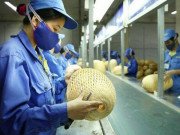 Tin tức - Năm 2021, NLĐ cần làm gì với cơ quan thuế khi đổi CMND sang Căn cước công dân?