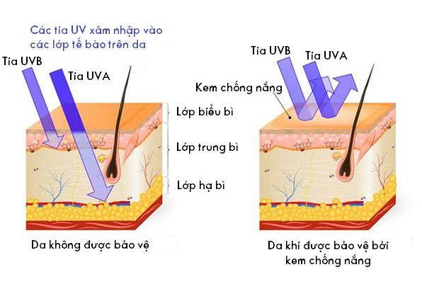 Không dùng kem chống nắng cho da mặt, hậu quả sẽ ra sao? - 2