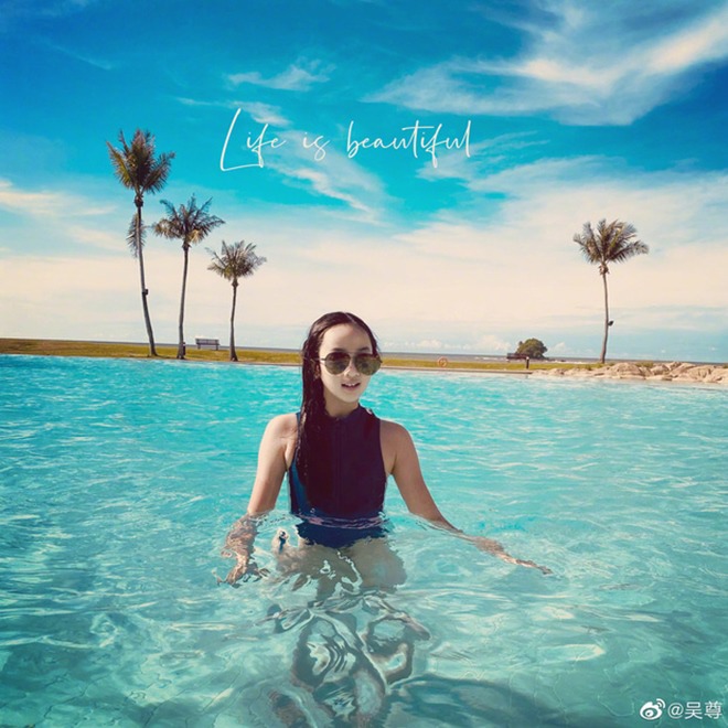 Tài tử giấu vợ như giấu vàng con gái 10 tuổi ngày càng phổng phao, xứng đáng thi hoa hậu - 2