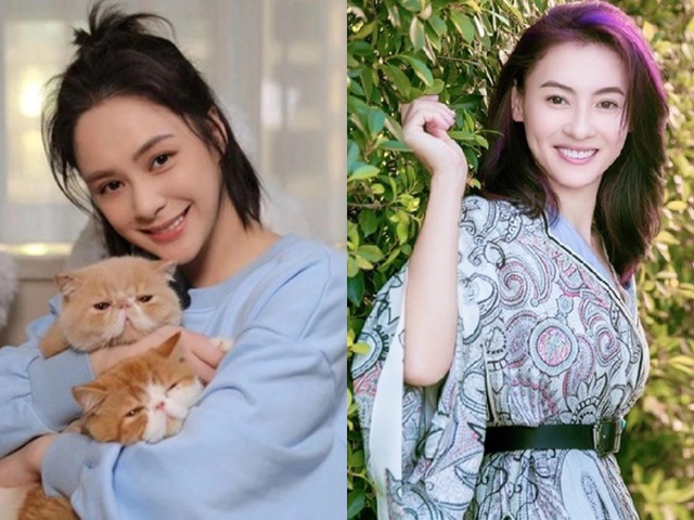 Chung Hân Đồng không muốn đứng chung sân khấu với Trương Bá Chi, nguyên nhân là vì 1 gã tồi