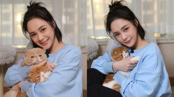 Chung Hân Đồng không muốn đứng chung sân khấu với Trương Bá Chi, nguyên nhân là vì 1 gã tồi - 5