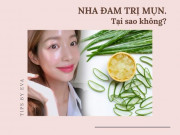 Cứ dùng nha đam trị mụn theo 5 cách này, da mặt căng bóng không lo mụn trở lại