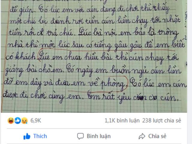 Bài văn tả con chó bá đạo của bé tiểu học, CĐM hốt hoảng tưởng chó thành tinh