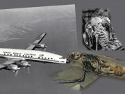 Tin tức - Bí ẩn chuyến bay "mất tích" suốt 35 năm, khi hạ cánh mọi hành khách đều đã thành hài cốt