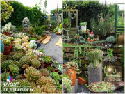 Nhà đẹp - Mẹ 8X “nhặt” đồng nát về trồng hoa, sau 4 năm thành mảnh vườn cổ tích tuyệt đẹp