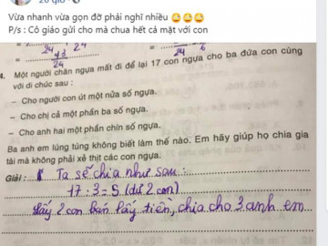 Bài toán Chia 17 con ngựa cho 3 người, lời giải khiến mẹ chua mặt còn CĐM ôm bụng cười
