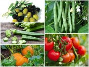 Nhà đẹp - Những loại quả ở Việt Nam mà ai cũng tưởng lầm là rau củ, thứ đầu tiên "gây sốc"