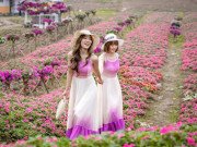 Clip Eva - Ngỡ ngàng cánh đồng hoa ngọc thảo "tím lịm" thu hút giới trẻ ở Hà Nội