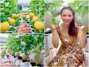 Nhà đẹp - Cô gái 9X “biến” 50m² sân thượng thành vườn dưa sai trĩu trịt, làm giàn treo cực chất