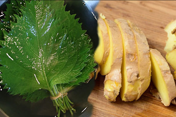 Cách chữa cảm cúm cho bà bầu bằng gừng an toàn hiệu quả - 3