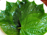 Bà bầu - Bà bầu ăn lá lốt được không, có nguy hiểm không?