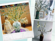 Nhà đẹp - Nở rộ trào lưu cắm hoa ô mai: Trưng bền cả tháng, thơm dễ chịu giúp thư giãn, dễ ngủ