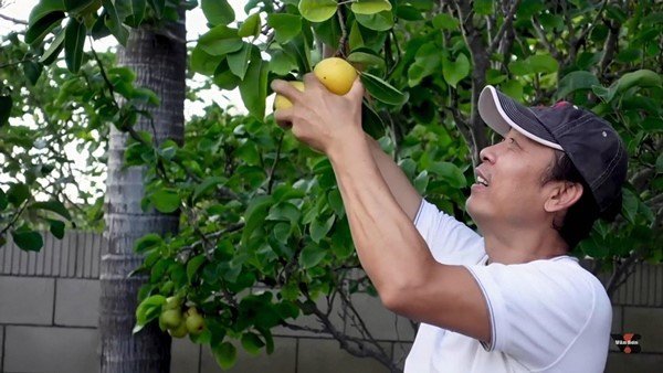 Sao Việt ở Mỹ có vườn rộng thênh thang: Bằng Kiều, Vân Sơn thỏa mãn đam mê cây cối - 11