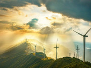 Eva tám - 3 kiểu người thoáng qua tưởng dại dột nhưng lại là thông minh nhất