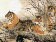 Eva tám - 4 con giáp rất giỏi chịu đựng, đầu năm trắc trở bao nhiêu cuối năm lộc lá bấy nhiêu