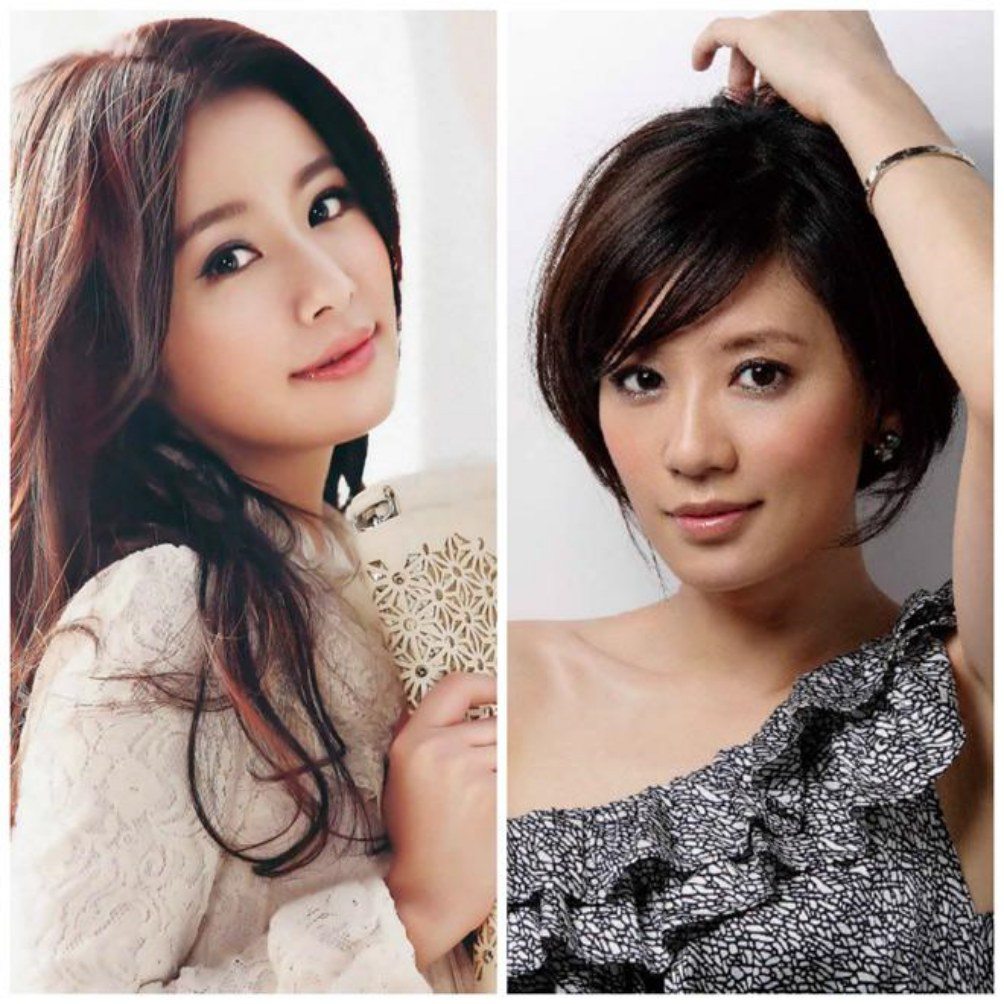 Lâm Tâm Như và Giả Tịnh Văn từng là tình địch của nhau.