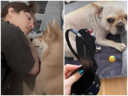 Nhà đẹp - Sao Việt quyền lực bên ngoài về nhà thành “giúp việc”: Sơn Tùng cũng không thoát kiếm “con sen”