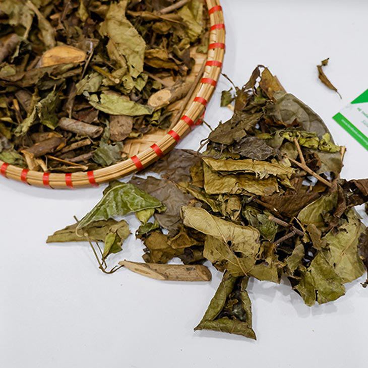 Một số người có thể trạng như huyết áp thấp, đang bị tiêu chảy, a classTextlinkBaiviet hrefhttps://eva.vn/phụ nữ/a có thai,... không nên sử dụng xạ đen