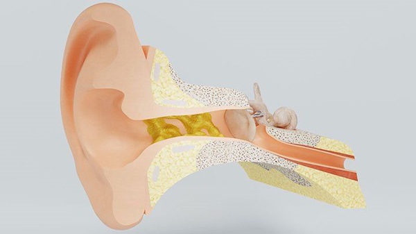Ráy tai giúp bảo vệ và bôi trơn tai của bạn.