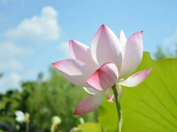 Người có ngày sinh kết thúc bằng 3 số này đi đâu cũng có quý nhân soi đường chỉ lối