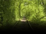 Xem ăn chơi - Đường hầm tình yêu tại Ukraine mộng mơ đến nao lòng