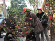 Tin tức - Đề xuất nghỉ Tết Nguyên đán năm 2022 kéo dài 9 ngày liên tục