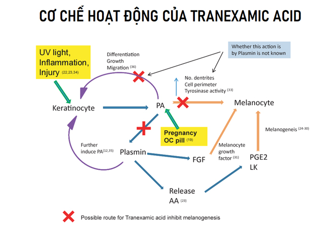 Làm đủ cách mà da vẫn thâm nám, bác sĩ da liễu tiết lộ giải pháp nhanh gọn - 3