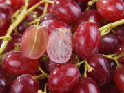 Bếp Eva - Chỉ rửa nho với muối khác nào ăn trứng côn trùng, thêm bước nữa nho sạch yên tâm ăn