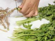 Sức khỏe - Nấu ăn nhớ đừng bỏ đi 3 thứ này, không những là vị thuốc mà còn phòng chống ung thư hiệu quả