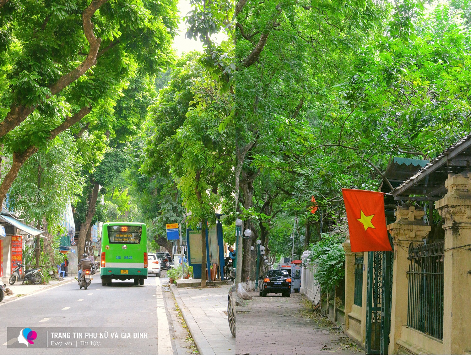 Có một mùa thu đẹp nao lòng, khiến người ta chỉ muốn bỏ tất cả để trở về Hà Nội - 10