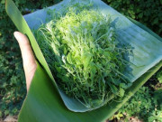 Xem ăn chơi - Loại lá dại “lên đời” thành đặc sản, vị đắng ngắt nhưng ăn quen lại nghiện