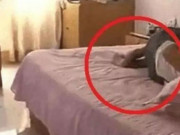 Tin tức - Đi ăn trộm nhìn thấy chủ nhà nằm khỏa thân trên giường, tên trộm có hành động không tin nổi