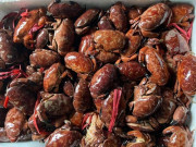 Tiêu dùng - Loại hải sản có tên kỳ cục, ngon hơn ghẹ, rẻ hơn cua thành đặc sản hút khách