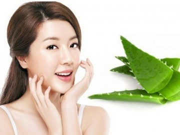 Nha đam: 6 tác dụng với sức khỏe và 6 công dụng trong làm đẹp