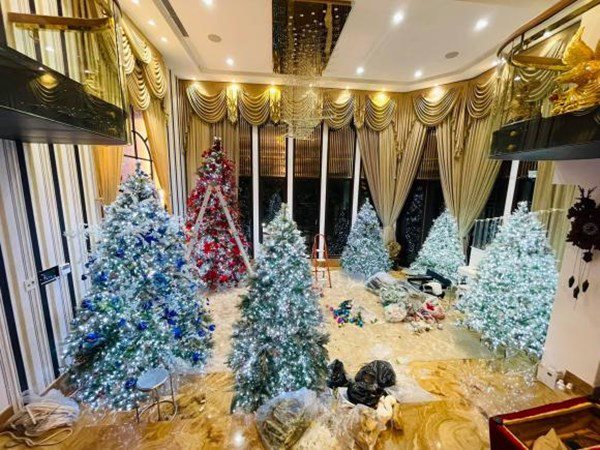 Hậu ly hôn, mới cuối tháng 10, Đàm Vĩnh Hưng đã trang trí Noel trong biệt thự 90 tỷ - 4