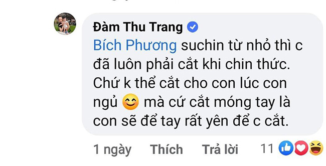 Đàm Thu Trang nuôi con Cường Đôla quá kỹ, tránh được mối lo ở biệt thự sân vườn triệu đô - 6