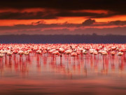 Xem ăn chơi - Lóa mắt với 10 hiện tượng thiên nhiên ấn tượng nhất hành tinh