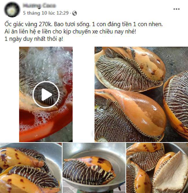 Chị Hường rao bán ốc giác vàng trên chợ mạng và có khá nhiều khách đặt mua