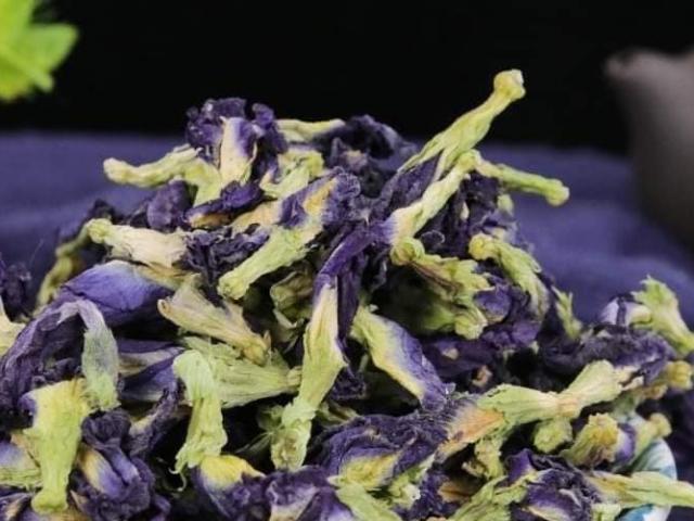Loại cây xưa trồng làm hàng rào bất ngờ thành đặc sản 550.000đồng/kg, có tiền cũng khó mua được